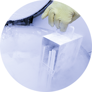 Freezers & Refrigerators